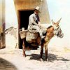 Para el cortijo